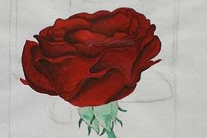 Rose mit Glas in Erinnerung an Zoli - Ausschnitt. Kunstwerk von Aranka Mágori.